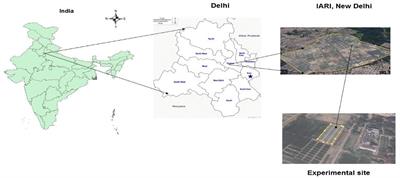 Nitrogen management sensor optimization, yield, economics, and nitrogen use efficiency of different wheat cultivars under varying nitrogen levels